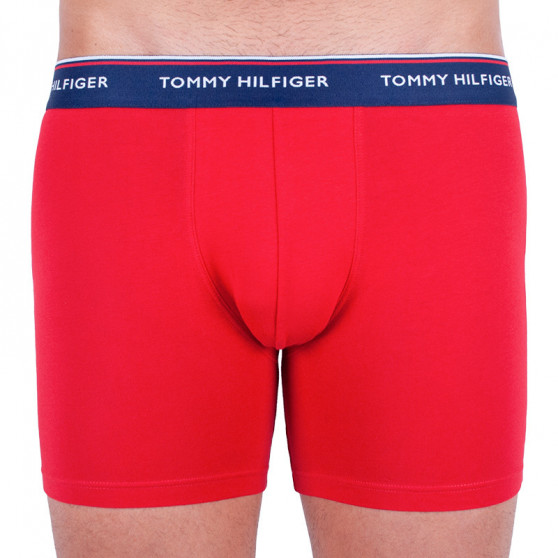 3PACK Vyriški boksininko šortai Tommy Hilfiger daugiaspalviai (UM0UM00010 052)