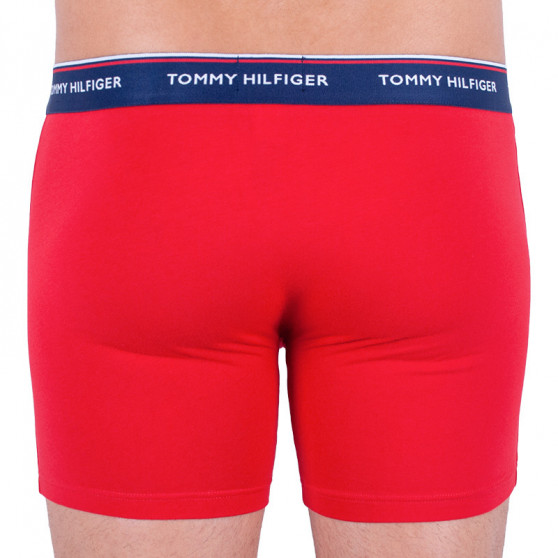 3PACK Vyriški boksininko šortai Tommy Hilfiger daugiaspalviai (UM0UM00010 052)