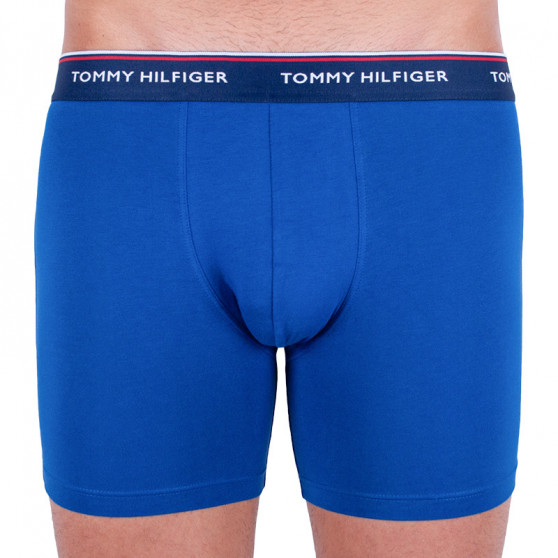 3PACK Vyriški boksininko šortai Tommy Hilfiger daugiaspalviai (UM0UM00010 052)