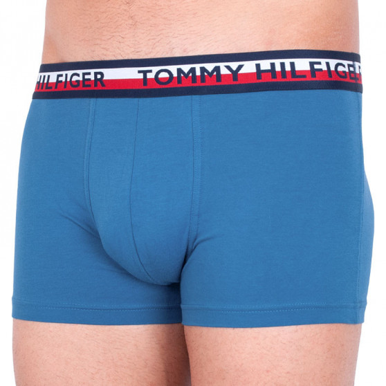 2PACK Vyriški boksininko šortai Tommy Hilfiger daugiaspalviai (UM0UM00746 006)