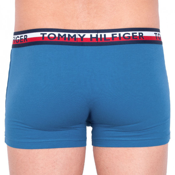 2PACK Vyriški boksininko šortai Tommy Hilfiger daugiaspalviai (UM0UM00746 006)