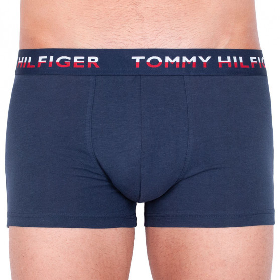 2PACK Vyriški boksininko šortai Tommy Hilfiger daugiaspalviai (UM0UM00746 006)