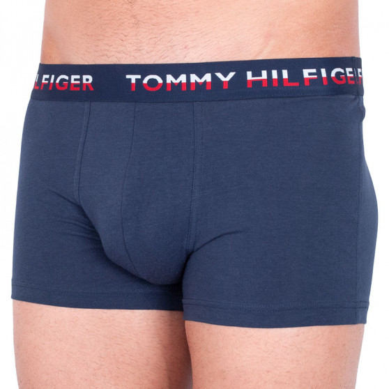 2PACK Vyriški boksininko šortai Tommy Hilfiger daugiaspalviai (UM0UM00746 006)