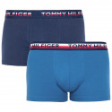 2PACK Vyriški boksininko šortai Tommy Hilfiger daugiaspalviai (UM0UM00746 006)