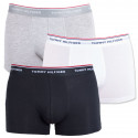 3PACK Vyriški boksininko šortai Tommy Hilfiger daugiaspalviai oversized (1U87905252 004)