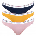 3PACK Moteriškos kelnaitės Tommy Hilfiger multicolour (UW0UW00043 033)