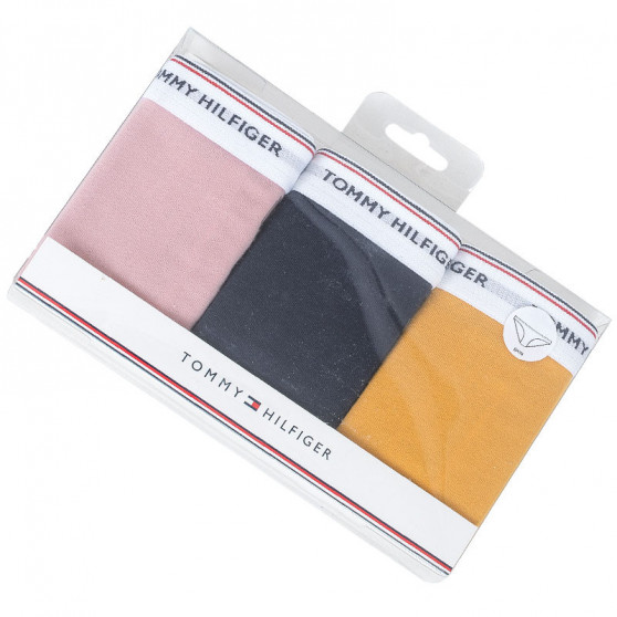 3PACK Moteriškos kelnaitės Tommy Hilfiger multicolour (UW0UW00043 033)