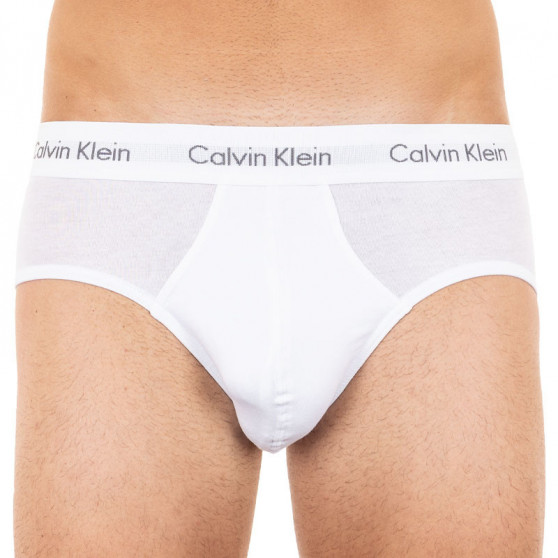 3PACK Vyriškos kelnaitės Calvin Klein multicolour (U2661G-IOT)