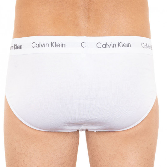 3PACK Vyriškos kelnaitės Calvin Klein multicolour (U2661G-IOT)