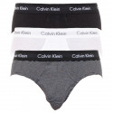 3PACK Vyriškos kelnaitės Calvin Klein multicolour (U2661G-IOT)