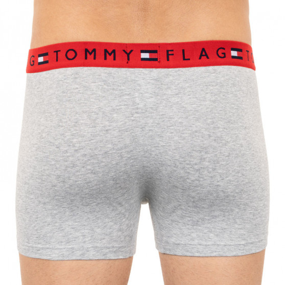 Vyriški boksininkų šortai Tommy Hilfiger pilka (UM0UM01367 004)