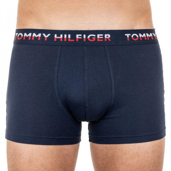 2PACK Vyriški boksininko šortai Tommy Hilfiger daugiaspalviai (UM0UM01233 088)