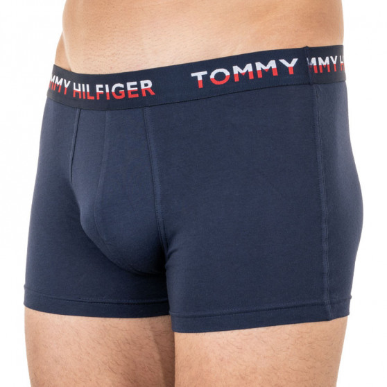 2PACK Vyriški boksininko šortai Tommy Hilfiger daugiaspalviai (UM0UM01233 088)