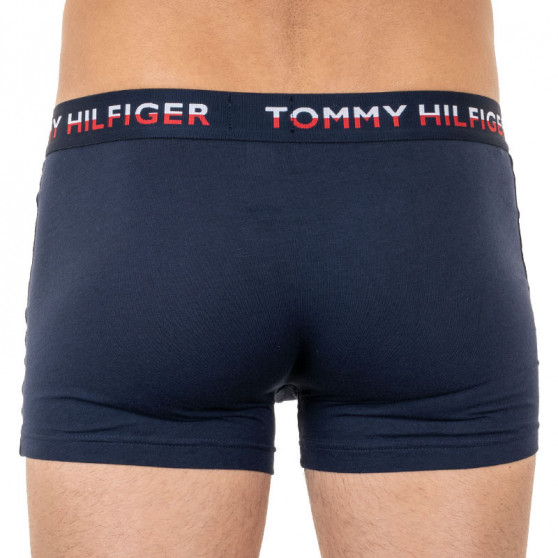 2PACK Vyriški boksininko šortai Tommy Hilfiger daugiaspalviai (UM0UM01233 088)