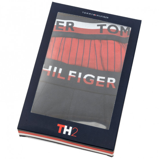 2PACK Vyriški boksininko šortai Tommy Hilfiger daugiaspalviai (UM0UM01233 088)