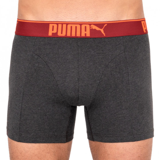 3PACK Vyriški boksininko šortai Puma daugiaspalviai (681030001 899)