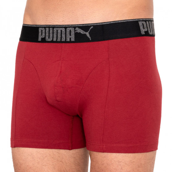 3PACK Vyriški boksininko šortai Puma daugiaspalviai (681030001 899)