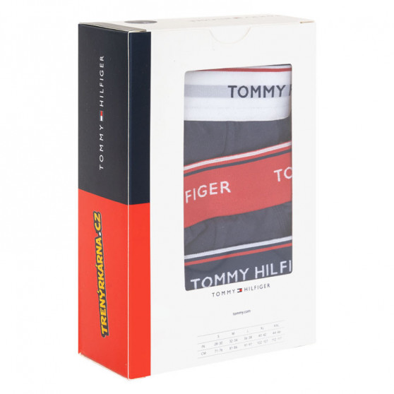 3PACK vyriškos kelnaitės Tommy Hilfiger tamsiai mėlynos (1U87903766 904)