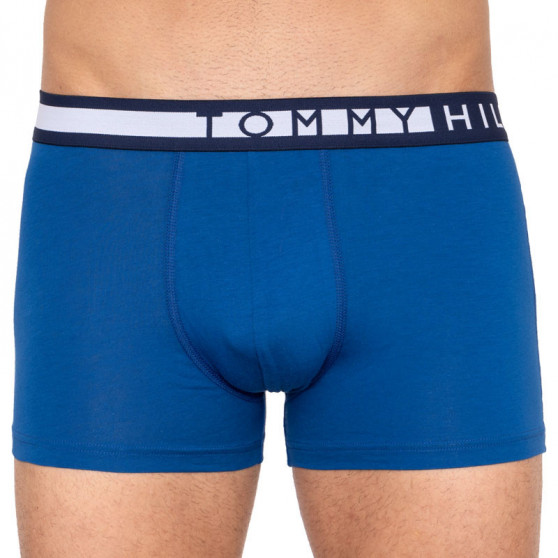 3PACK Vyriški boksininko šortai Tommy Hilfiger daugiaspalviai (UM0UM01565 018)