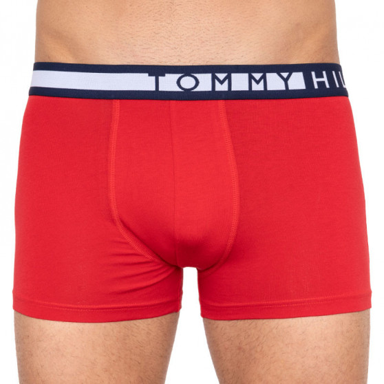 3PACK Vyriški boksininko šortai Tommy Hilfiger daugiaspalviai (UM0UM01565 018)