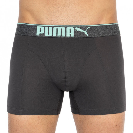 3PACK Vyriški boksininko šortai Puma daugiaspalviai (681030001 005)