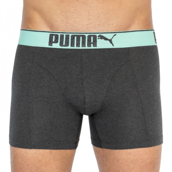 3PACK Vyriški boksininko šortai Puma daugiaspalviai (681030001 005)