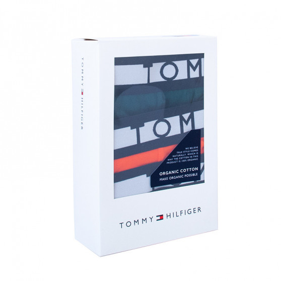 3PACK Vyriški boksininko šortai Tommy Hilfiger daugiaspalviai (UM0UM01565 0T2)