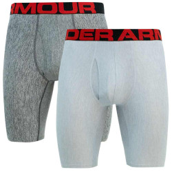 2PACK Vyriški boksininkų šortai Under Armour pilka (1363622 011)