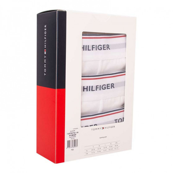 3PACK Vyriškos kelnaitės Tommy Hilfiger baltos (1U87903766 100)