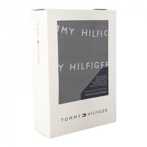 3PACK Vyriški boksininko šortai Tommy Hilfiger juodi (UM0UM02203 0VI)