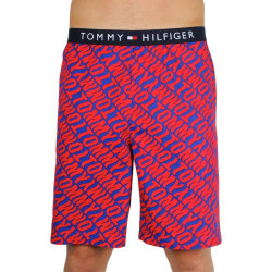 Vyriški šortai Tommy Hilfiger daugiaspalviai (UM0UM01765 0NX)