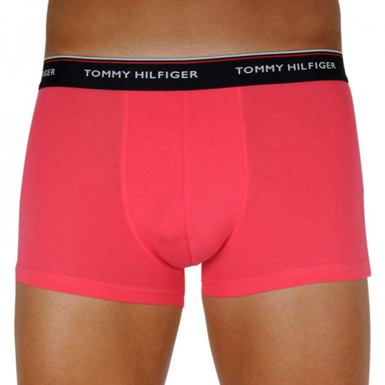 3PACK Vyriški boksininko šortai Tommy Hilfiger daugiaspalviai (1U87903842 0V0)