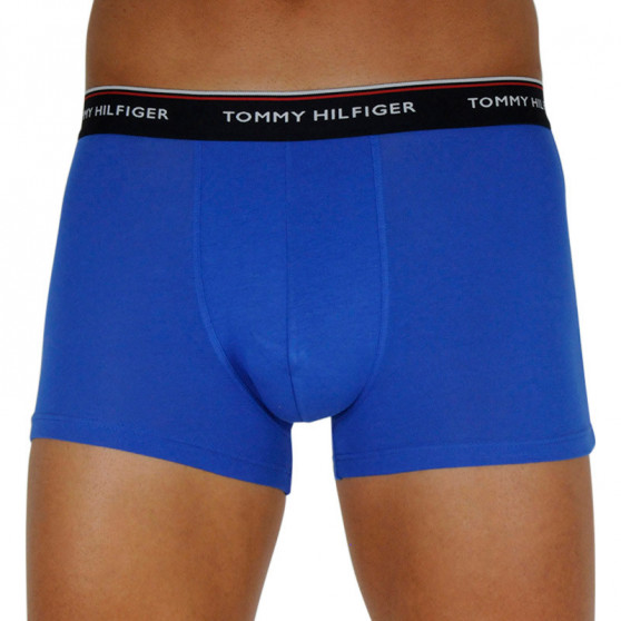 3PACK Vyriški boksininko šortai Tommy Hilfiger daugiaspalviai (1U87903842 0V0)