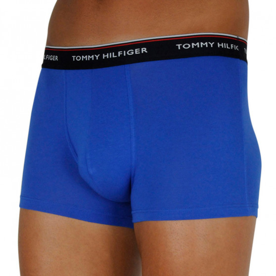 3PACK Vyriški boksininko šortai Tommy Hilfiger daugiaspalviai (1U87903842 0V0)