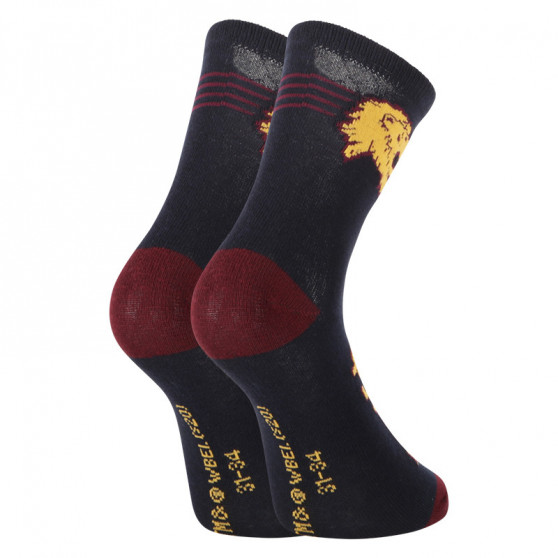 2PACK Vaikiškos kojinės E plus M Haris Poteris įvairiaspalvės (GRYFFINDOR-A)