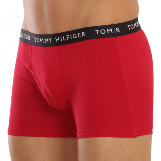 3PACK Vyriški boksininko šortai Tommy Hilfiger daugiaspalviai (UM0UM02203 0XI)