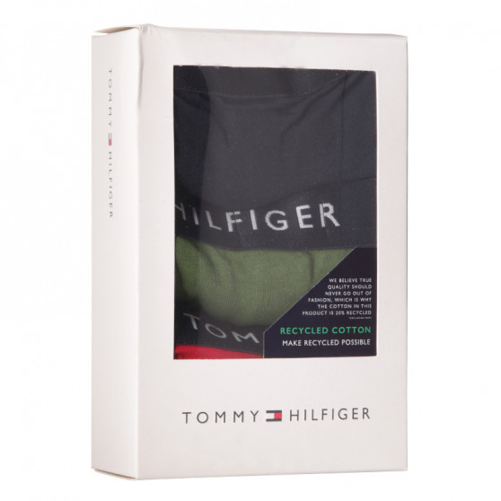 3PACK Vyriški boksininko šortai Tommy Hilfiger daugiaspalviai (UM0UM02203 0XI)