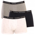 3PACK Vyriški boksininko šortai Tommy Hilfiger daugiaspalviai (UM0UM02325 0SG)