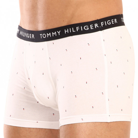 3PACK Vyriški boksininko šortai Tommy Hilfiger daugiaspalviai (UM0UM02325 0SG)