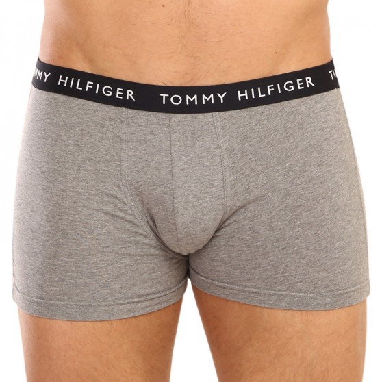 3PACK Vyriški boksininko šortai Tommy Hilfiger daugiaspalviai (UM0UM02325 0SG)