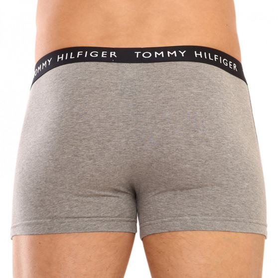 3PACK Vyriški boksininko šortai Tommy Hilfiger daugiaspalviai (UM0UM02325 0SG)