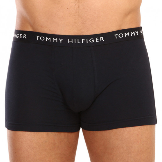 3PACK Vyriški boksininko šortai Tommy Hilfiger daugiaspalviai (UM0UM02325 0SG)