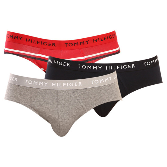 3PACK Vyriškos kelnaitės Tommy Hilfiger multicolour (UM0UM02328 0AH)