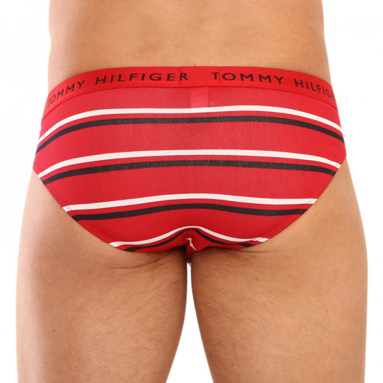 3PACK Vyriškos kelnaitės Tommy Hilfiger multicolour (UM0UM02328 0AH)