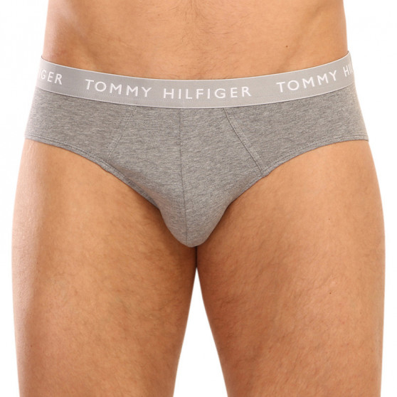 3PACK Vyriškos kelnaitės Tommy Hilfiger multicolour (UM0UM02328 0AH)