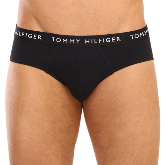 3PACK Vyriškos kelnaitės Tommy Hilfiger multicolour (UM0UM02328 0AH)