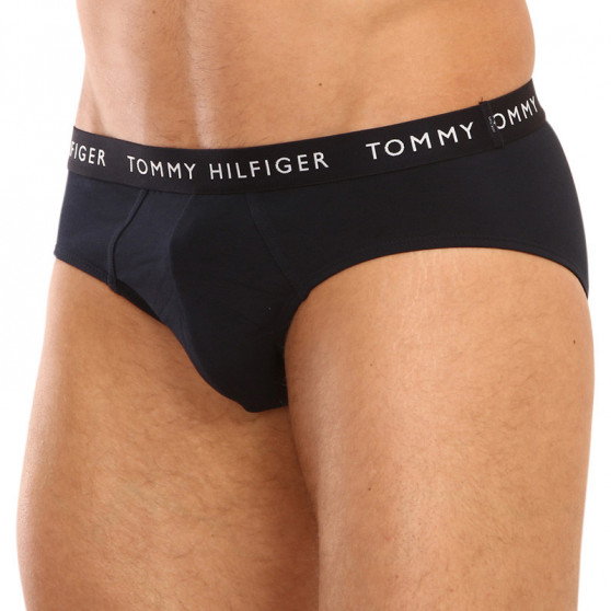 3PACK Vyriškos kelnaitės Tommy Hilfiger multicolour (UM0UM02328 0AH)