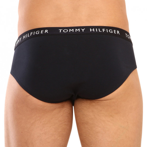 3PACK Vyriškos kelnaitės Tommy Hilfiger multicolour (UM0UM02328 0AH)