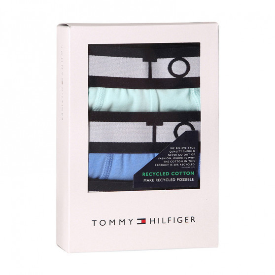 3PACK Vyriški boksininko šortai Tommy Hilfiger daugiaspalviai (UM0UM01565 00R)