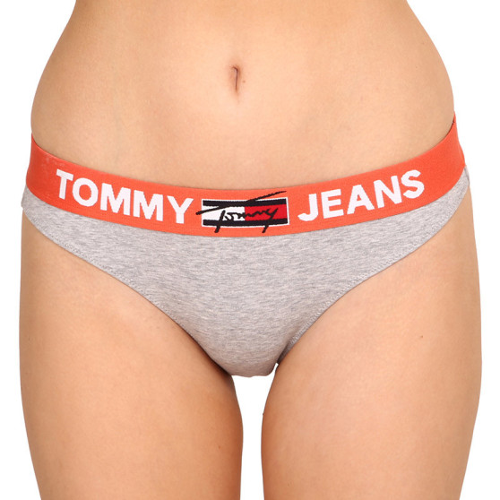 Moteriškos kelnaitės Tommy Hilfiger pilka (UW0UW02773 P61)